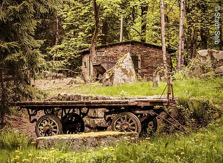 Schausteinbruch (Selb, Fichtelgebirge)