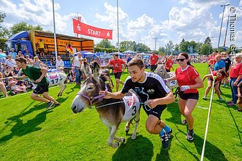 TDG - Eselrennen Hersbruck 2019 im Rahmen des Altstadtfest Hersbruck 2019 - mit Mannschaft Kommunalpolitiker aus Hersbuck und San Daniele; 04.08.2019; [© Thomas Geiger, P e g n i t z s t r. 30, D-91217 H e r s b r u c k , Tel.: +49-9151-824959 +  +49-171-3259880 - V e r o e f f e n t li c h u n g   n u r   mi t   H o n o r a r   n a c h   M F M ,   B e l e g   u n d   N a m e n s n e n n u n g !   C o p y r i g h t  n u r   f u e r   J o u r n a l i s t i s c h e  Z w e c k e, K e i n e  P e r s o e n l i c h k e i t s r e c h t e  v o r h a n d e n !  F r e i g a b e   f u e r   J o u r n a l i s t i s c h e  V e r o e f f e n t l . e r t e i l t !
