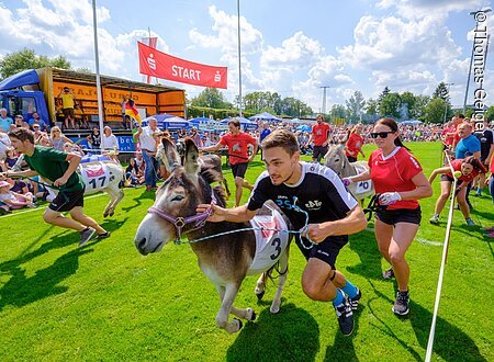 TDG - Eselrennen Hersbruck 2019 im Rahmen des Altstadtfest Hersbruck 2019 - mit Mannschaft Kommunalpolitiker aus Hersbuck und San Daniele; 04.08.2019; [© Thomas Geiger, P e g n i t z s t r. 30, D-91217 H e r s b r u c k , Tel.: +49-9151-824959 +  +49-171-3259880 - V e r o e f f e n t li c h u n g   n u r   mi t   H o n o r a r   n a c h   M F M ,   B e l e g   u n d   N a m e n s n e n n u n g !   C o p y r i g h t  n u r   f u e r   J o u r n a l i s t i s c h e  Z w e c k e, K e i n e  P e r s o e n l i c h k e i t s r e c h t e  v o r h a n d e n !  F r e i g a b e   f u e r   J o u r n a l i s t i s c h e  V e r o e f f e n t l . e r t e i l t !
